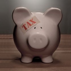 Can I make money with taxes?